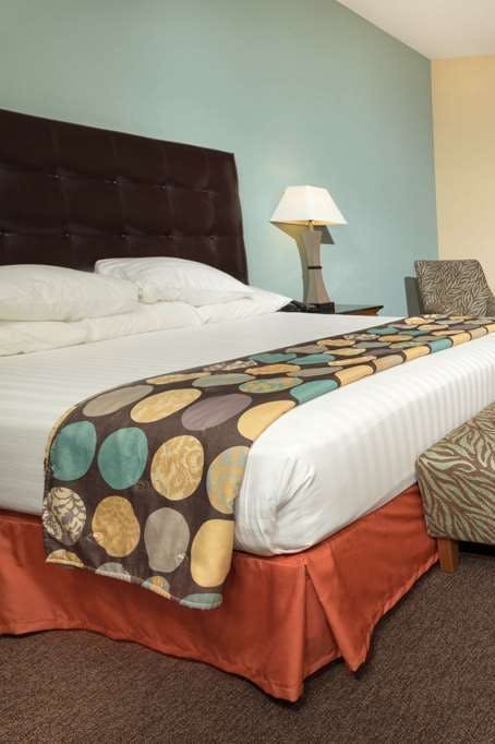 Hotel Drury Plaza Hotel San Antonio North Stone Oak photo 1