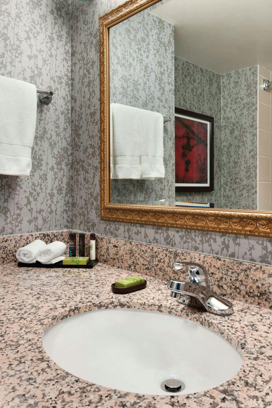 Hotel Embassy Suites by Hilton Dulles Airport photo 3