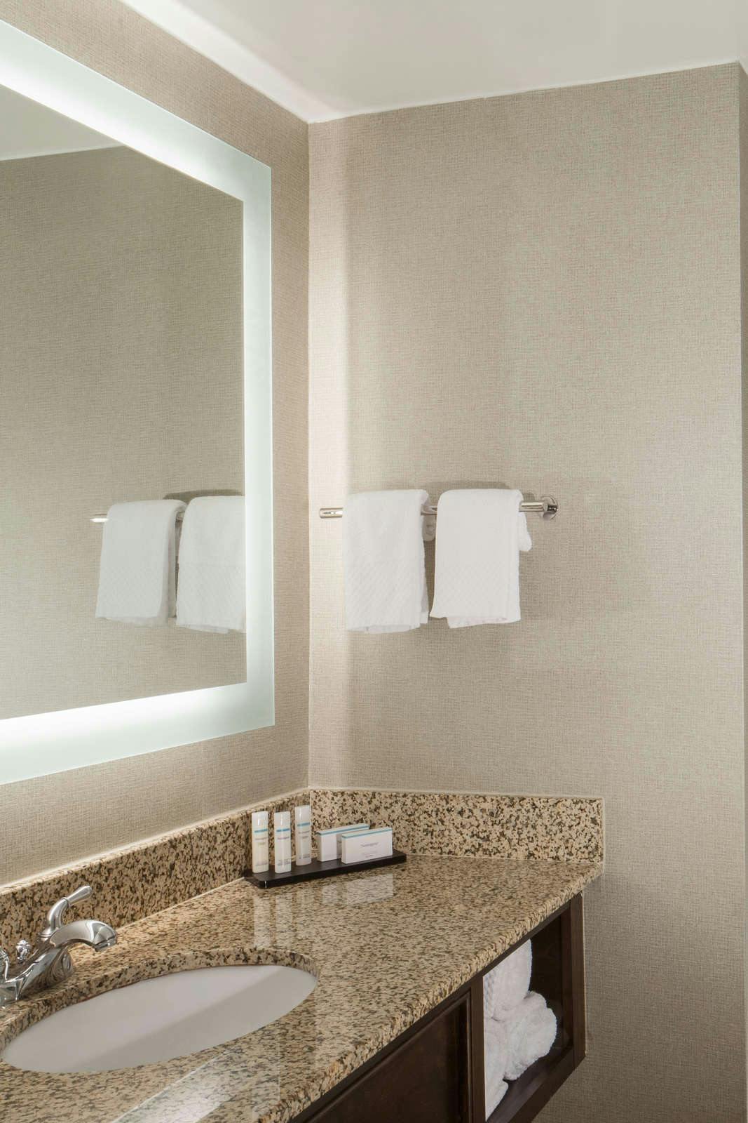 Hotel Embassy Suites by Hilton Philadelphia Airport photo 3