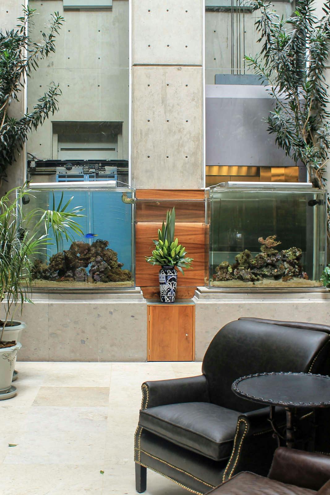 Hotel Hotel Zocalo Central photo 1