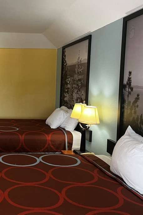 Hotel Super 8 by Wyndham Montgomery/ Lake Conroe photo 3