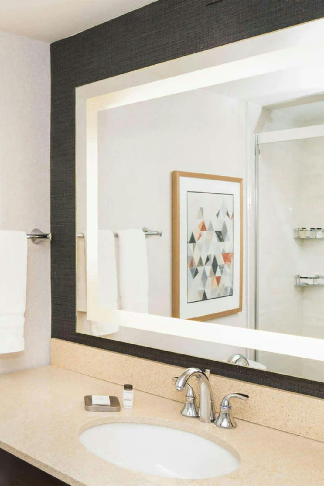 Hotel Sheraton Ann Arbor Hotel photo 3