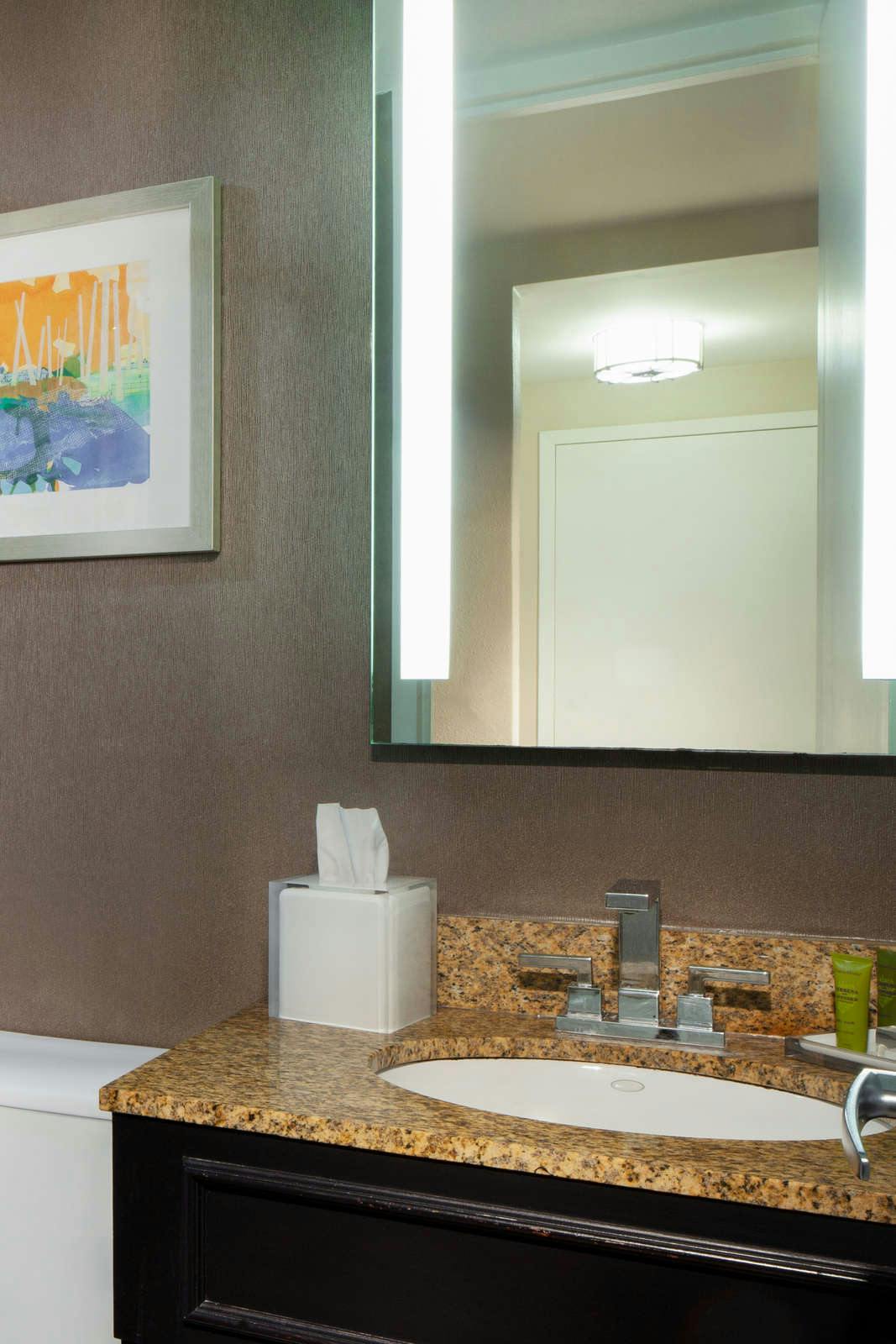 Hotel Hilton St. Petersburg Bayfront photo 5