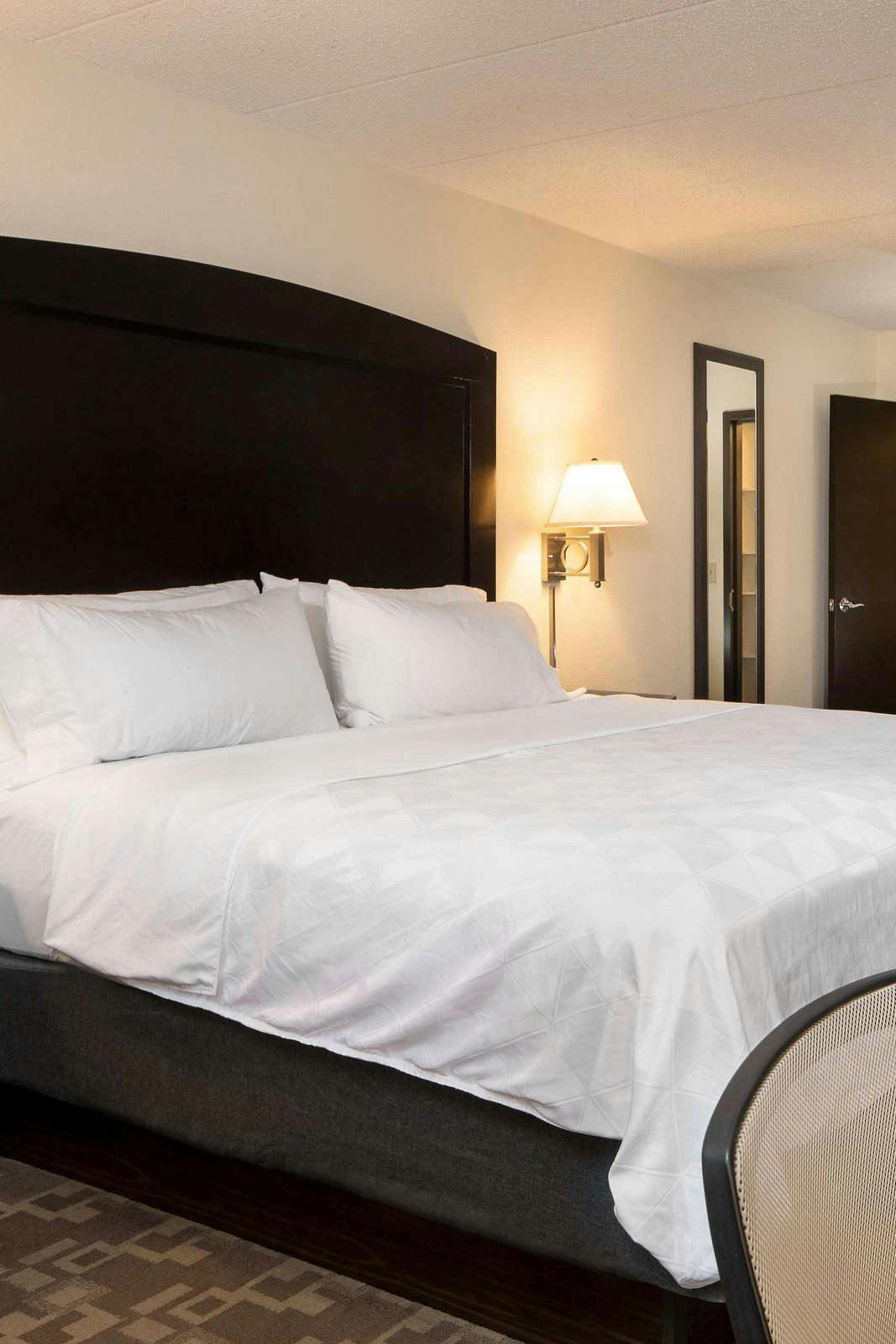 Hotel Holiday Inn Hotel & Suites Charleston West photo 1