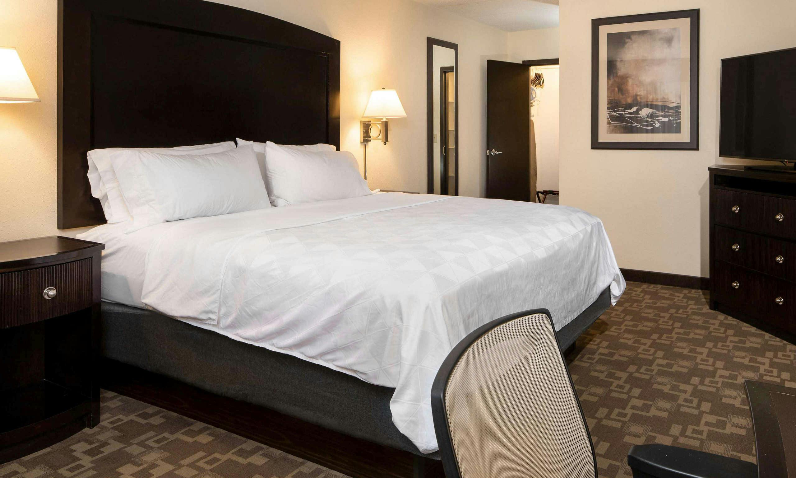 Holiday Inn Hotel & Suites Charleston West