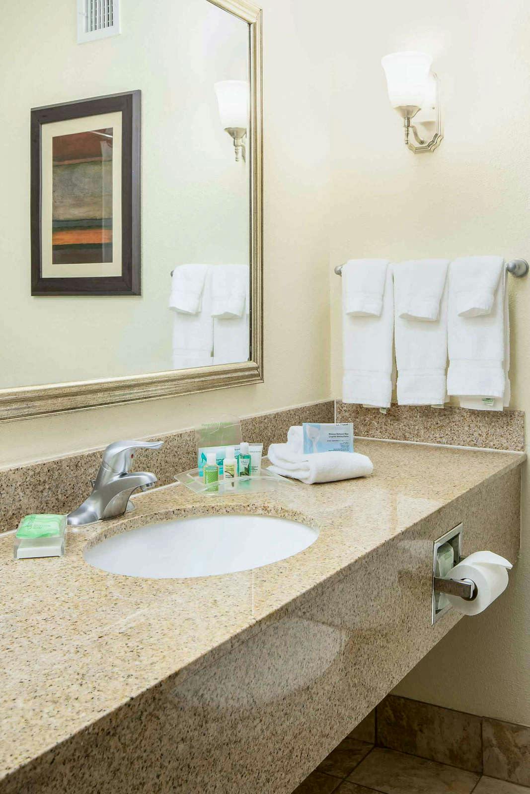 Hotel Holiday Inn Hotel & Suites Charleston West photo 2