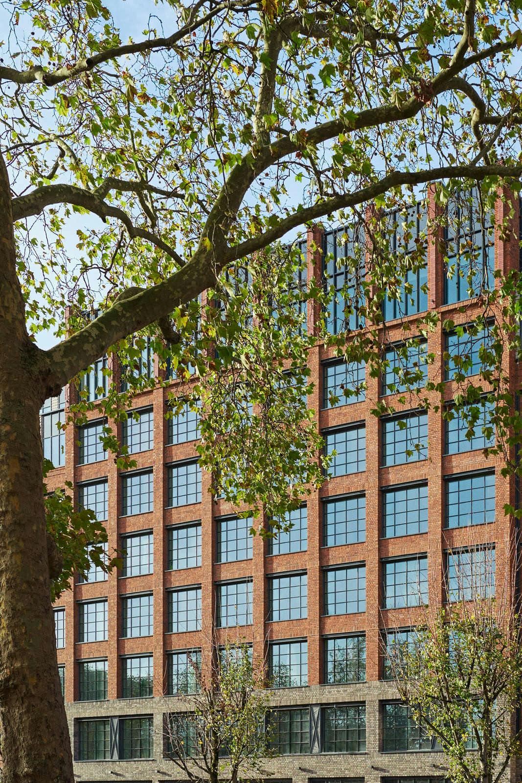 The Hoxton Shepherd's Bush