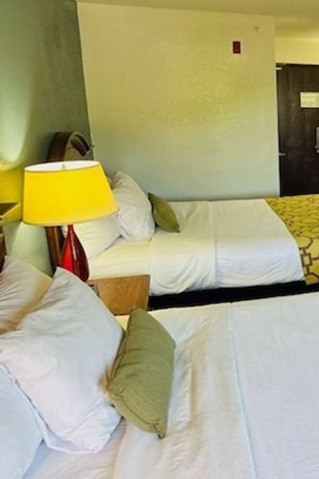 Hotel Baymont Inn and Suites Piqua photo 4