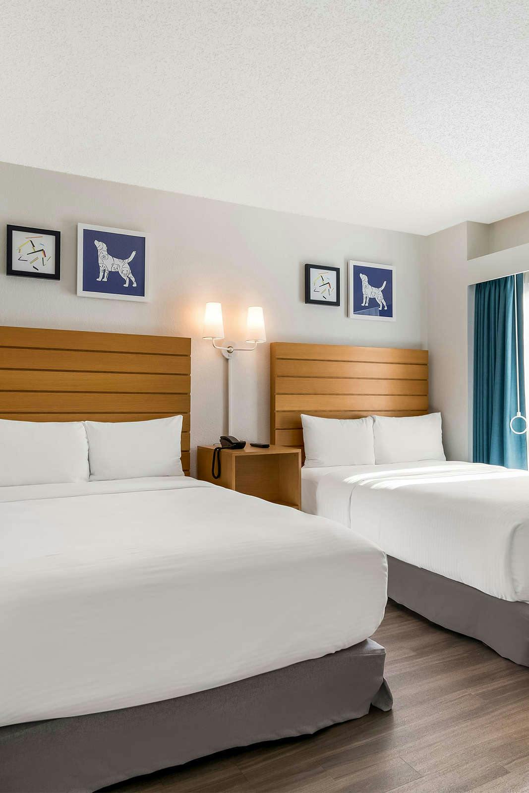 Hotel Sonesta ES Suites Orlando - International Drive photo 4