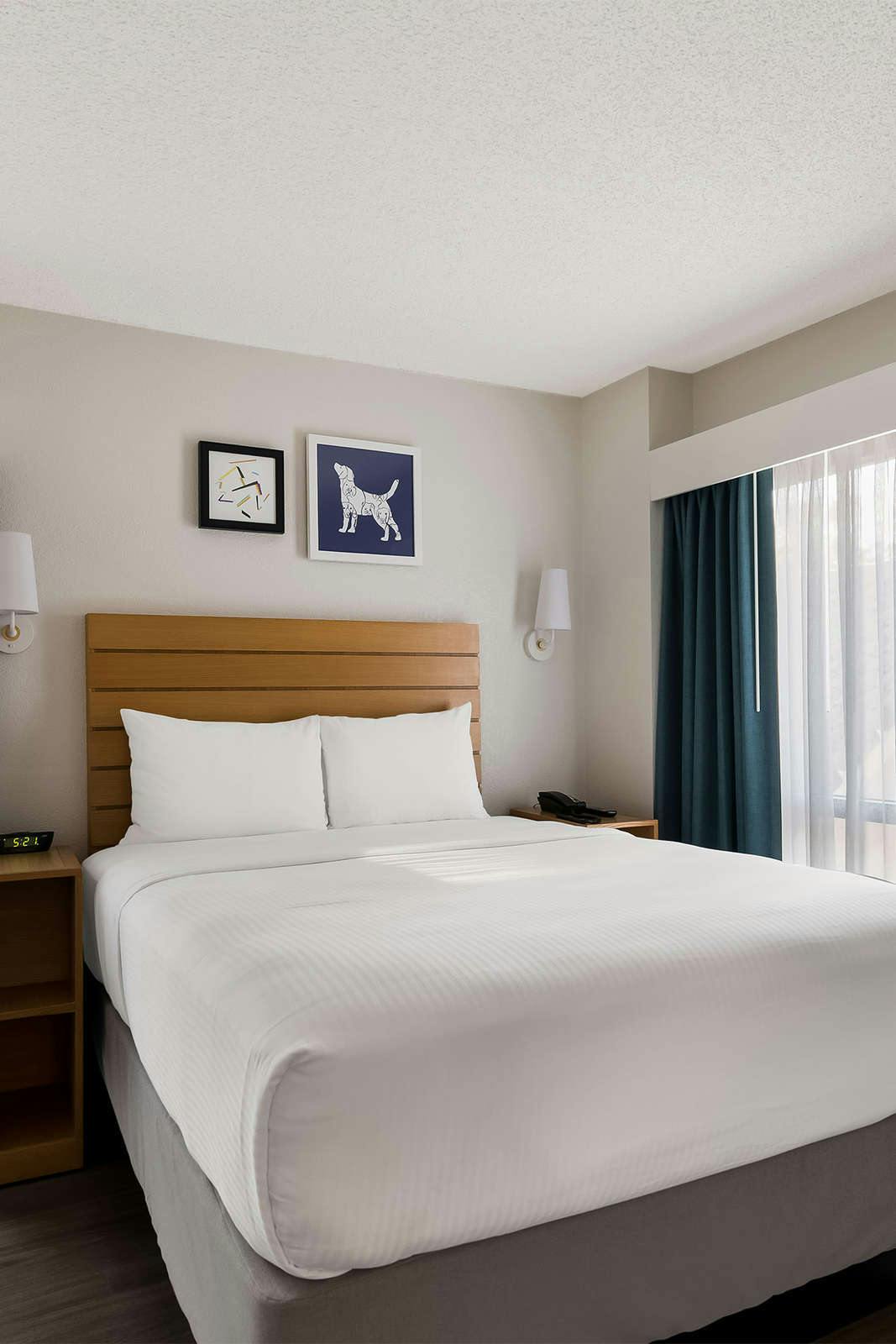 Hotel Sonesta ES Suites Orlando - International Drive photo 2