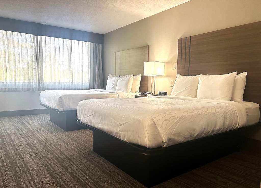 Hotel Best Western Laurel photo 2