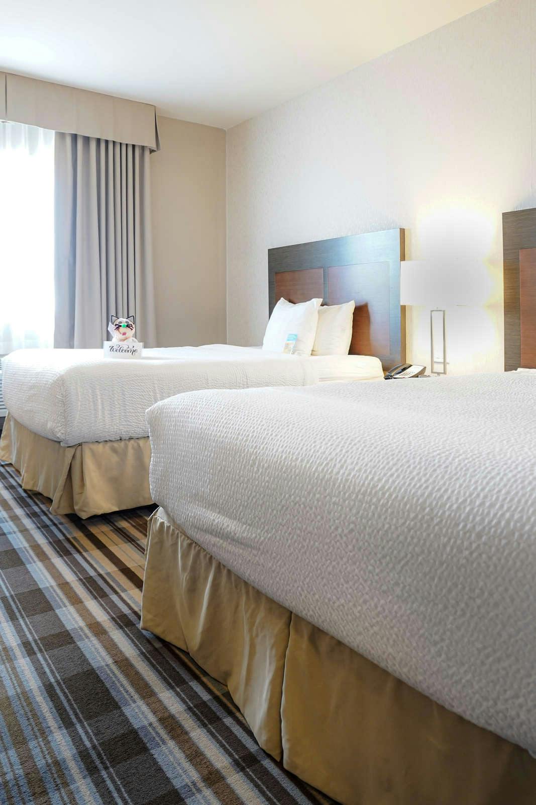 Hotel Fairfield Inn & Suites by Marriott Airdrie photo 3