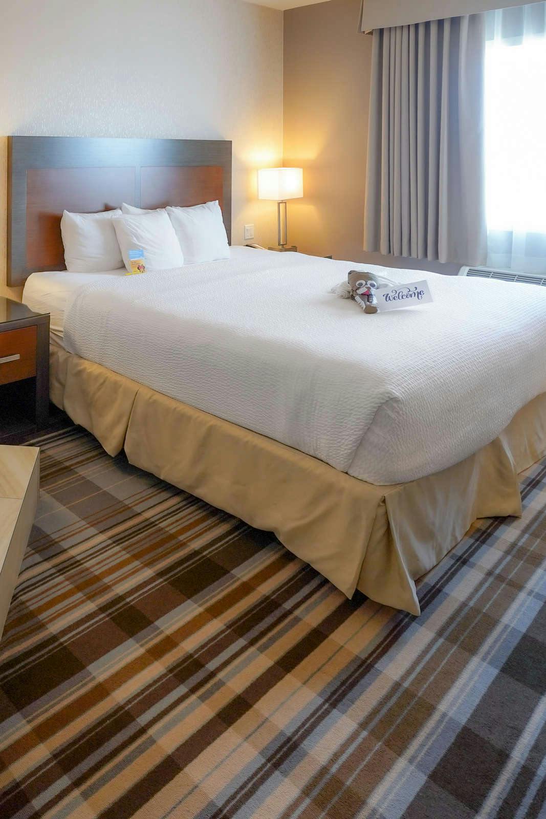 Hotel Fairfield Inn & Suites by Marriott Airdrie photo 2