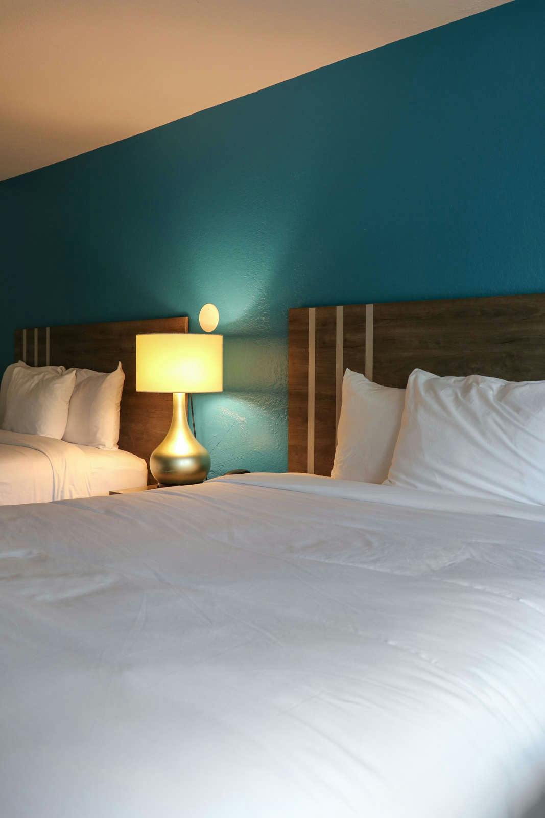 Hotel Sunbird Cape Cod Resort photo 4