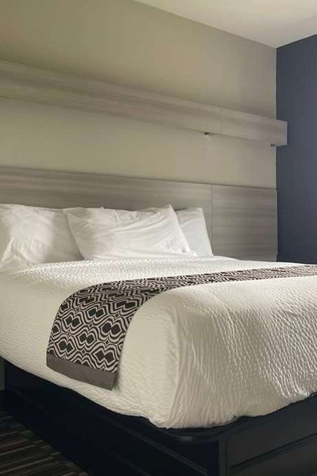 Hotel Microtel Inn & Suites by Wyndham Bossier City photo 1