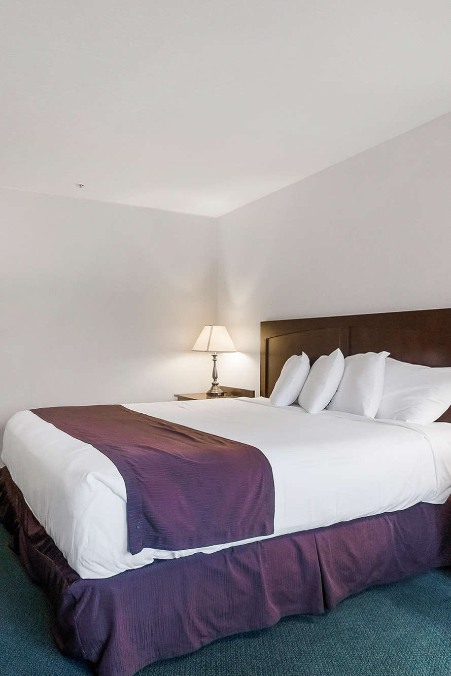 Hotel Aladdin Inn photo 1