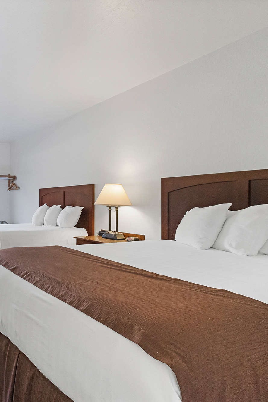 Hotel Aladdin Inn photo 3