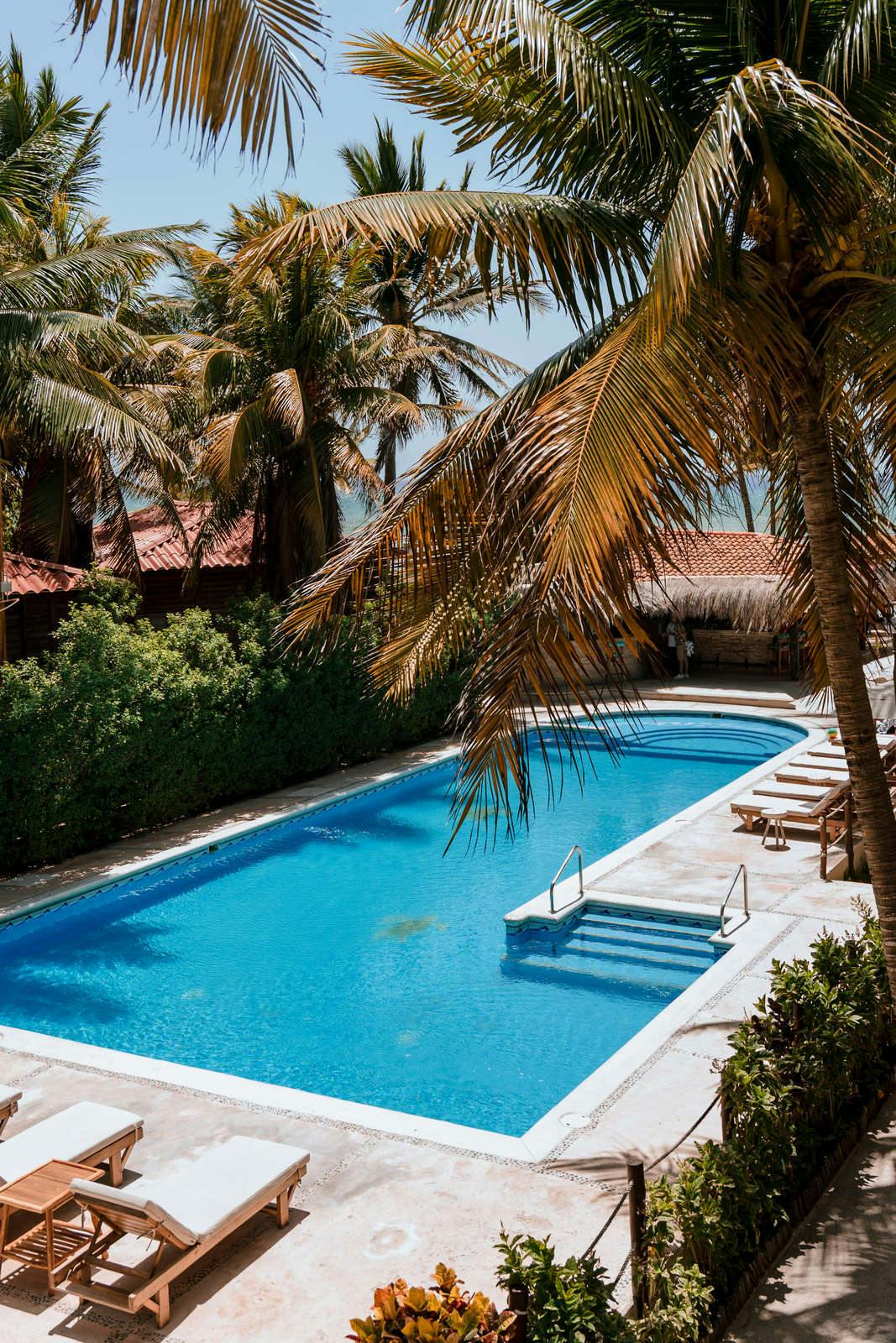 Hotel Petit Lafitte Hotel photo 1