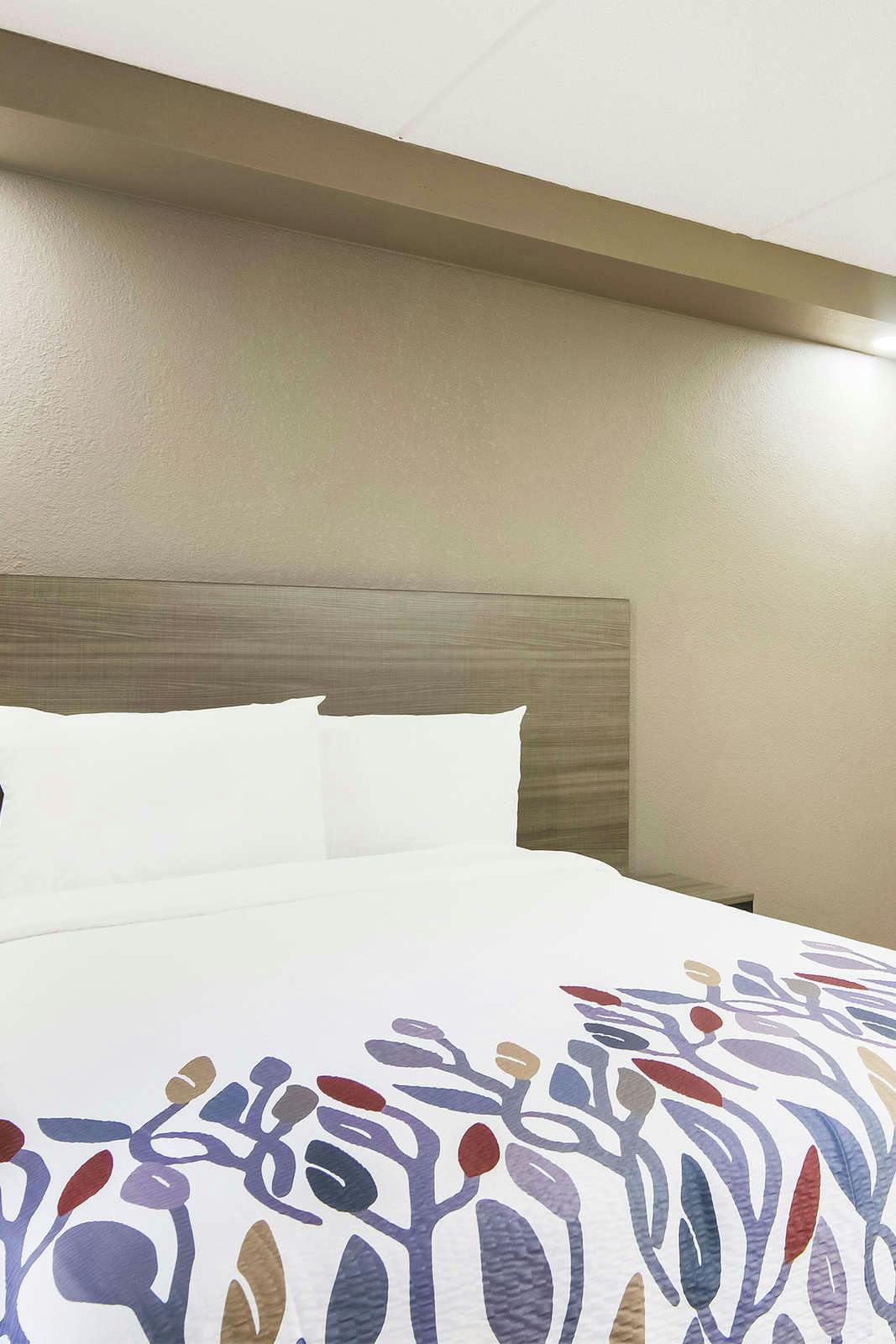 Hotel Red Roof Inn & Conference Center Chicago - N Aurora/ Naperville photo 1