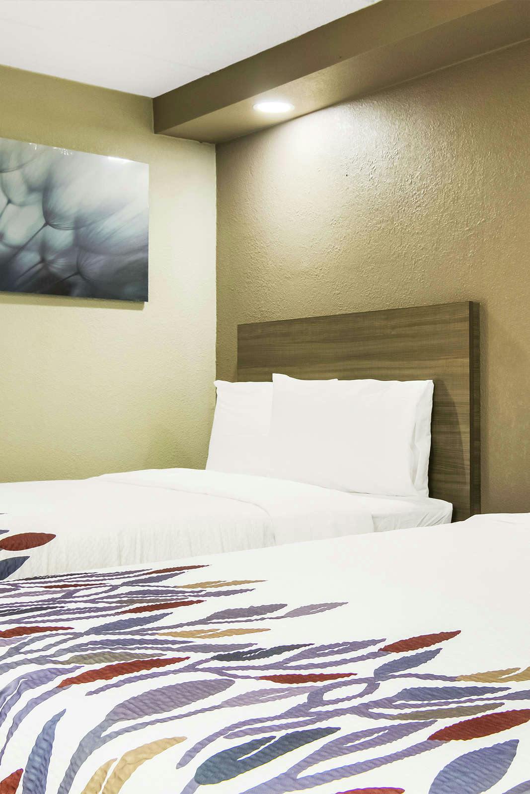 Hotel Red Roof Inn & Conference Center Chicago - N Aurora/ Naperville photo 5