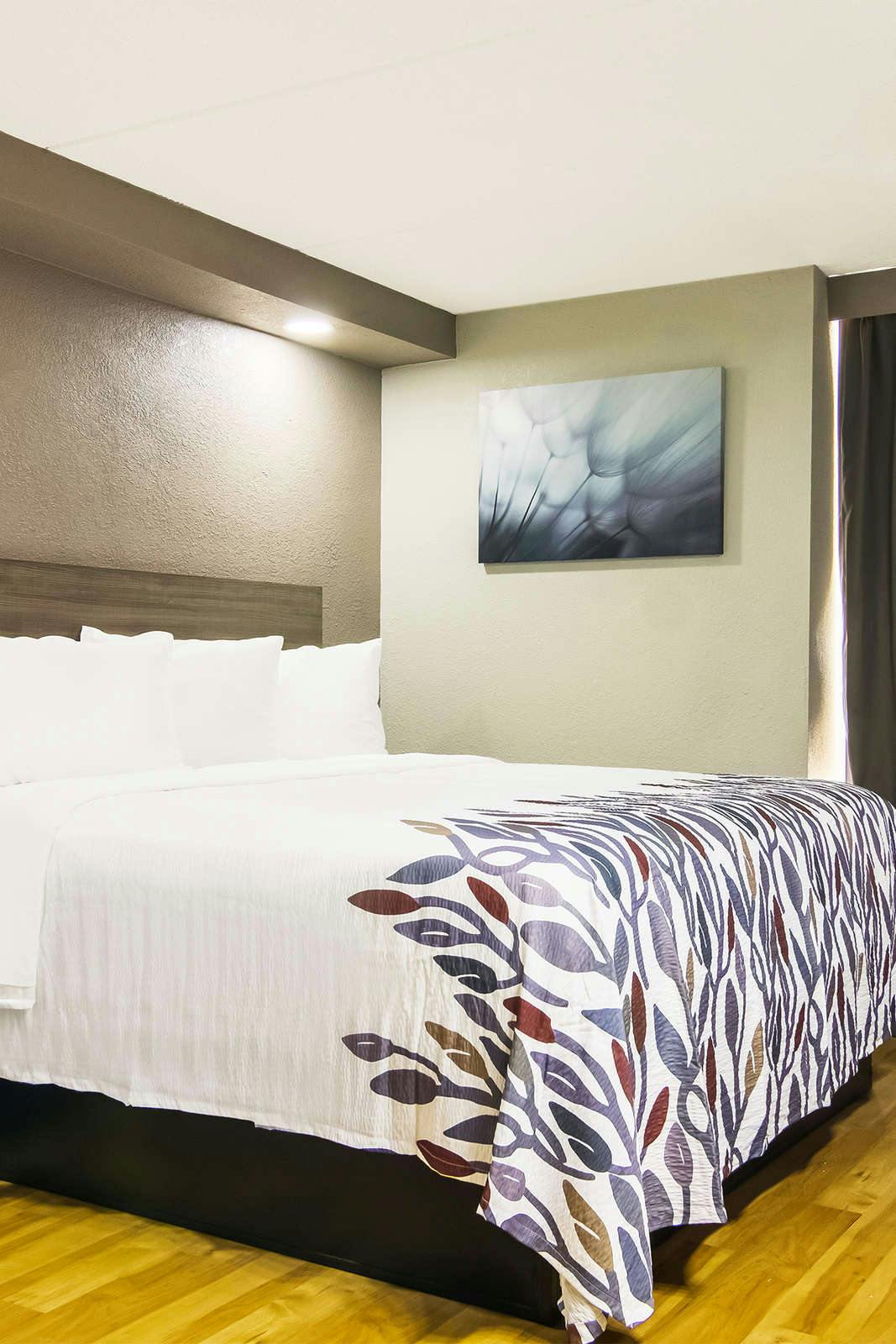 Hotel Red Roof Inn & Conference Center Chicago - N Aurora/ Naperville photo 3