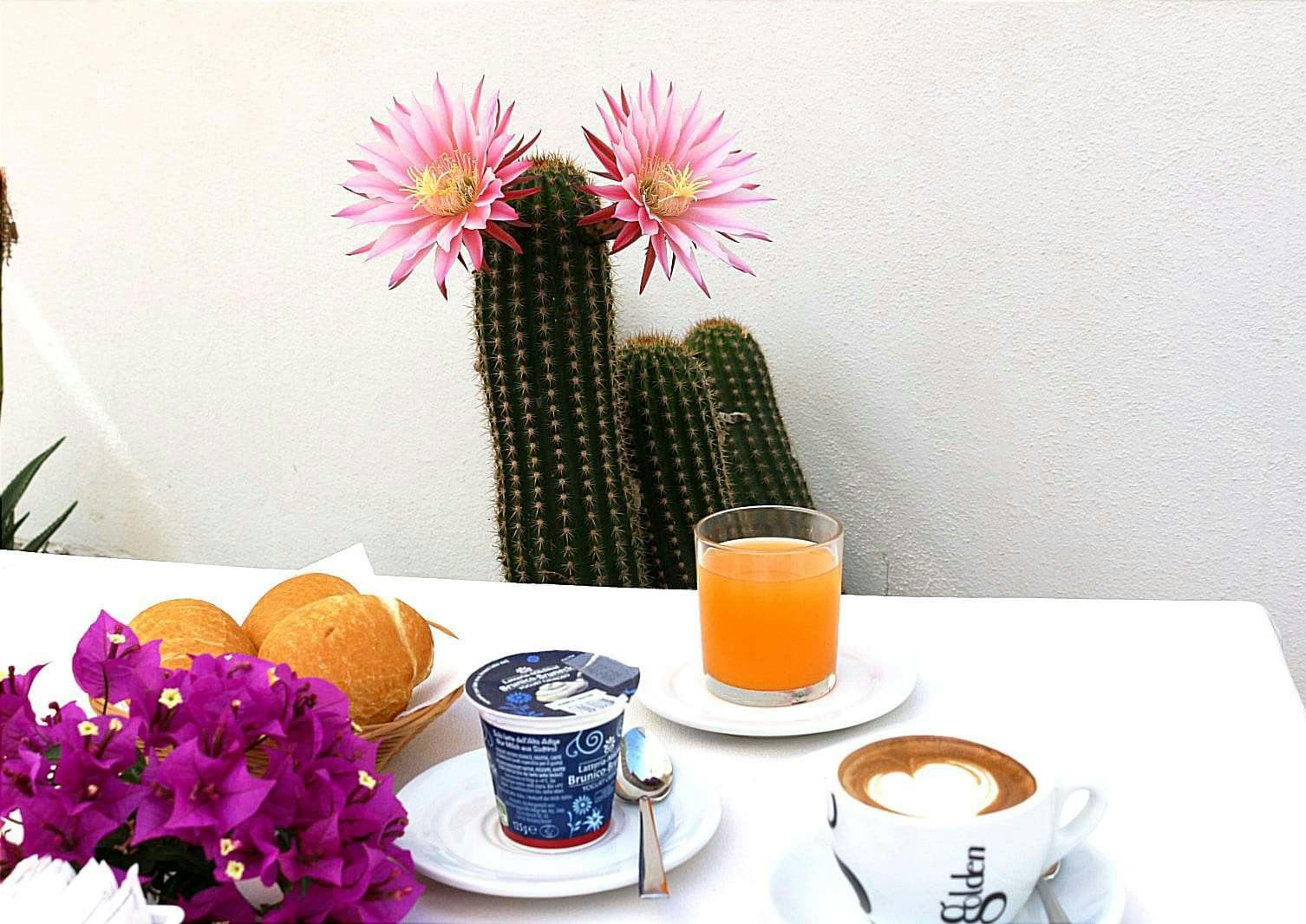 Hotel Hotel Rosa Dei Venti photo 5