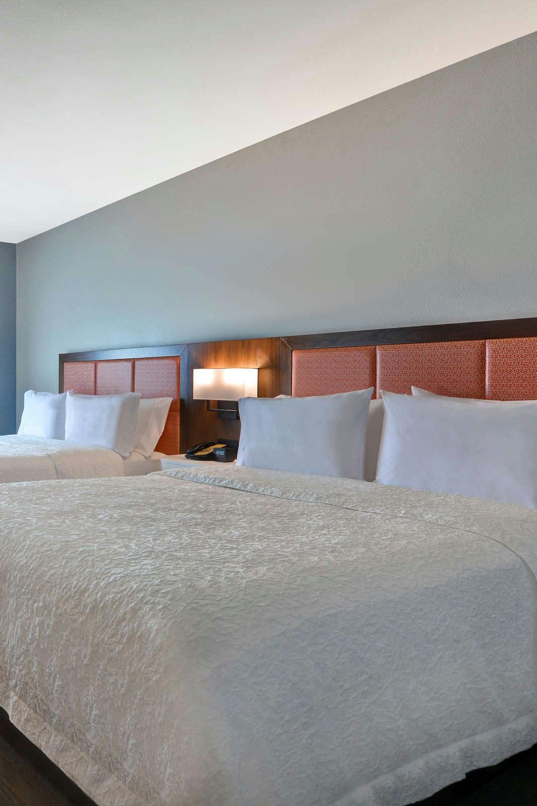 Hotel Hampton Inn & Suites Clearwater/St. Petersburg-Ulmerton Road photo 3