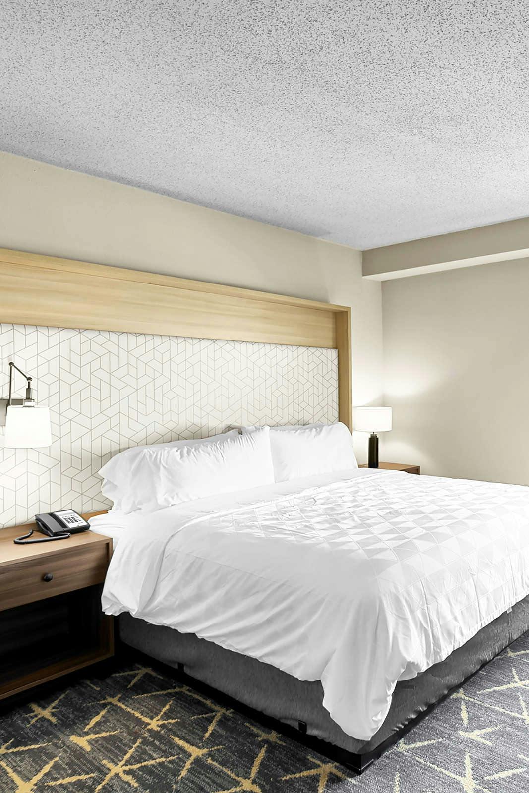 Hotel Holiday Inn Hotel & Suites Chicago Downtown photo 1