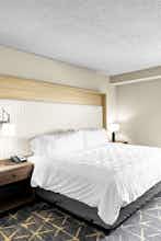 Hotel Holiday Inn Hotel & Suites Chicago Downtown photo 1
