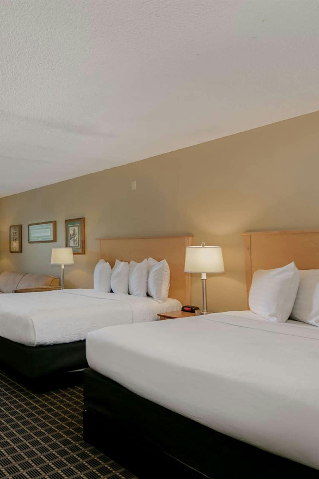 Hotel Campus Inn & Suites photo 4