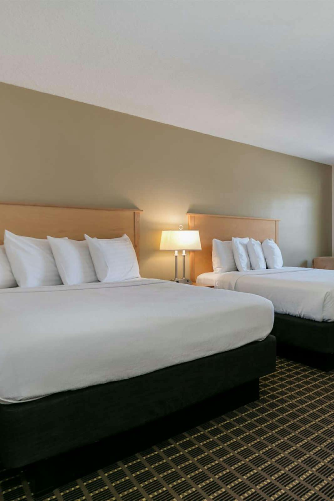 Hotel Campus Inn & Suites photo 1