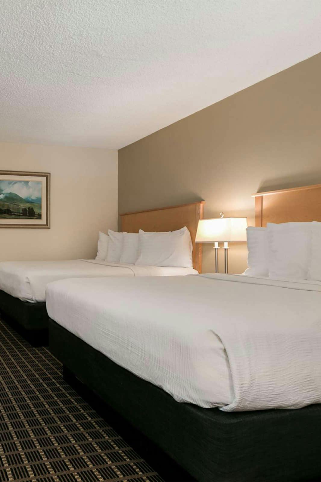 Hotel Campus Inn & Suites photo 2