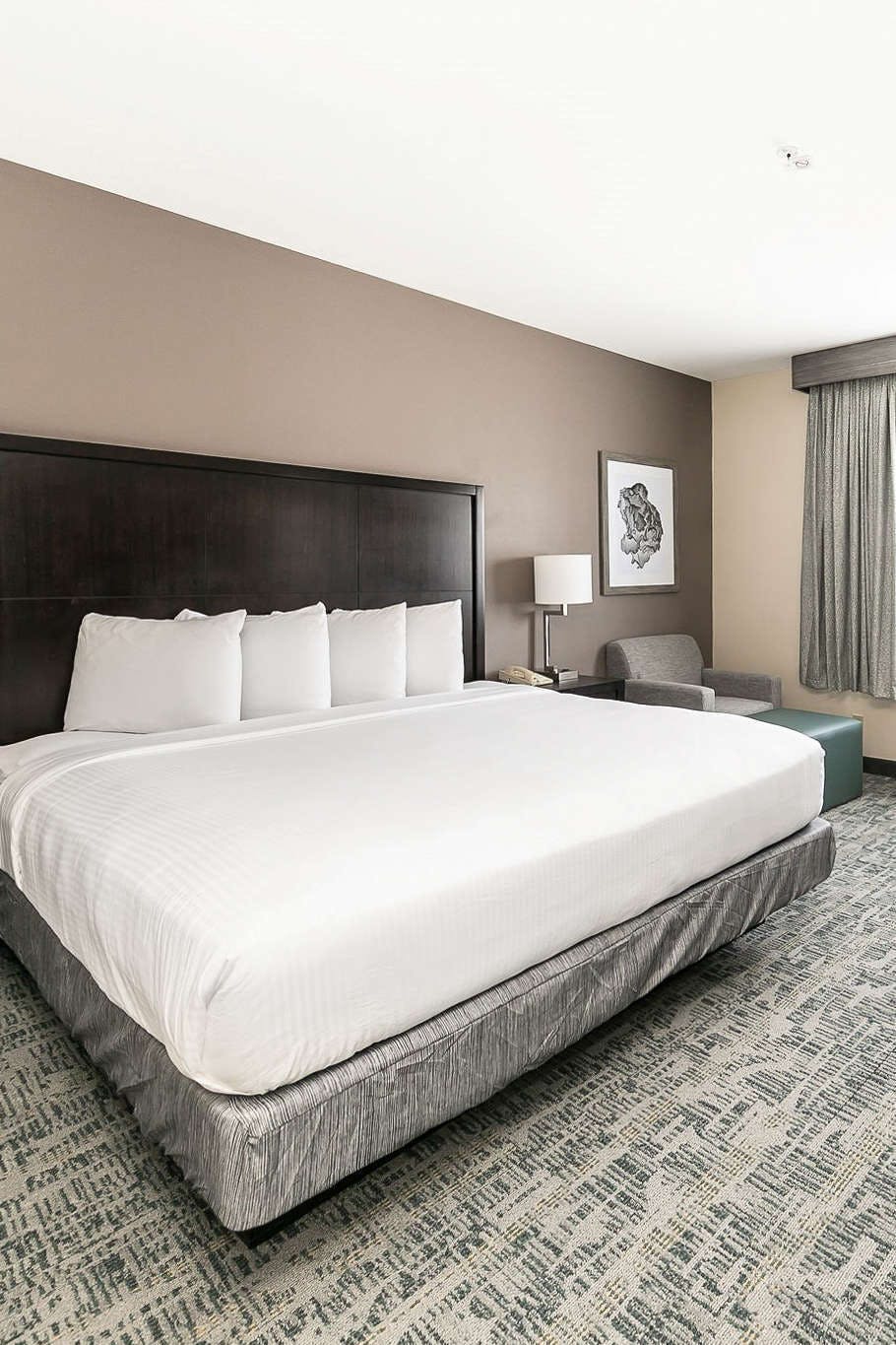 Hotel Best Western San Diego - Zoo SeaWorld Area photo 2