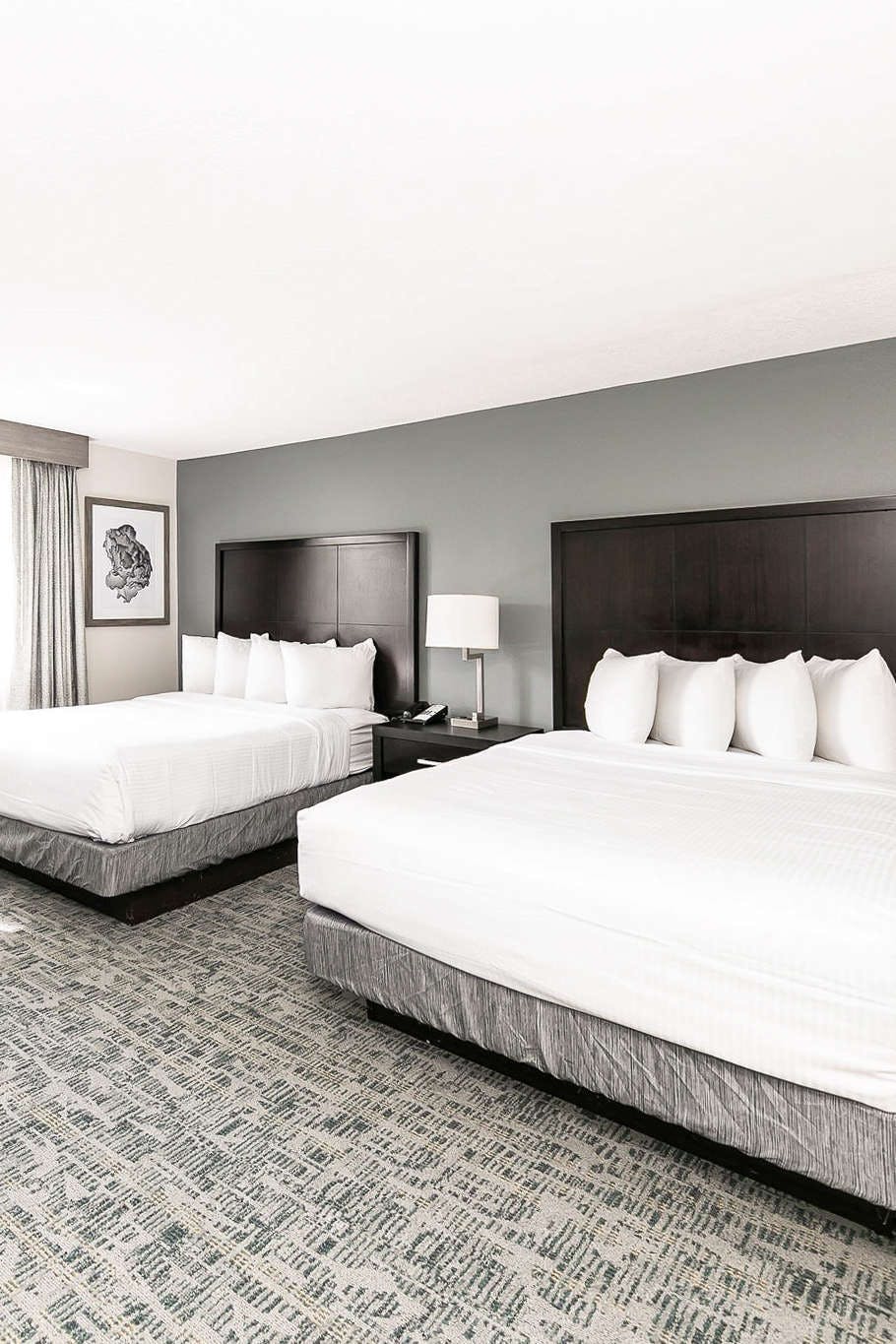 Hotel Best Western San Diego - Zoo SeaWorld Area photo 4