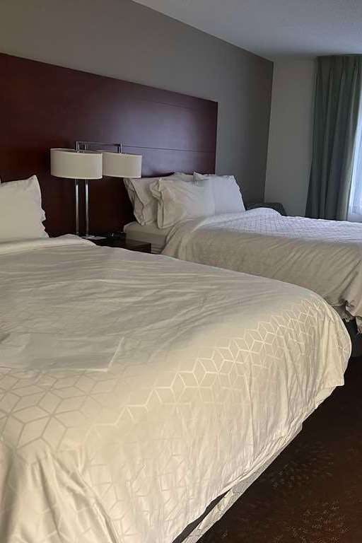 Hotel Sure Stay Plus By Best Western Fremont I 69 photo 3
