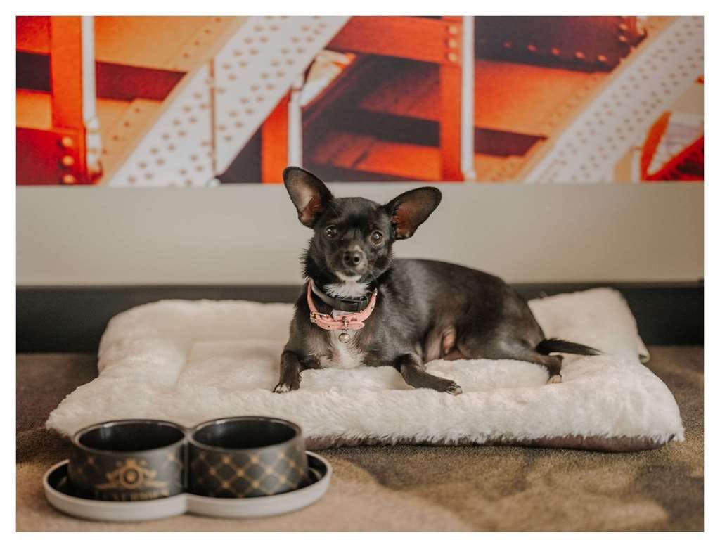 Novotel Paris Val De Fontenay (Ouverture été 2023)