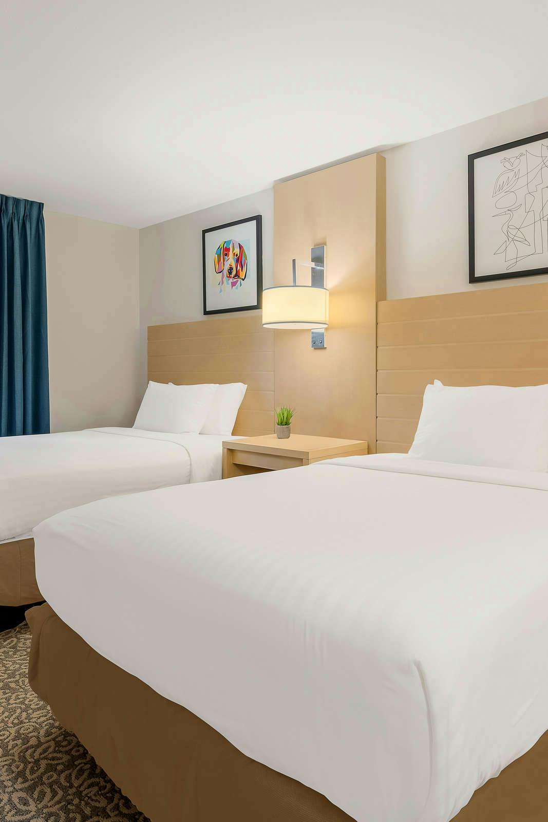 Hotel Sonesta ES Suites Charlotte Arrowood photo 4