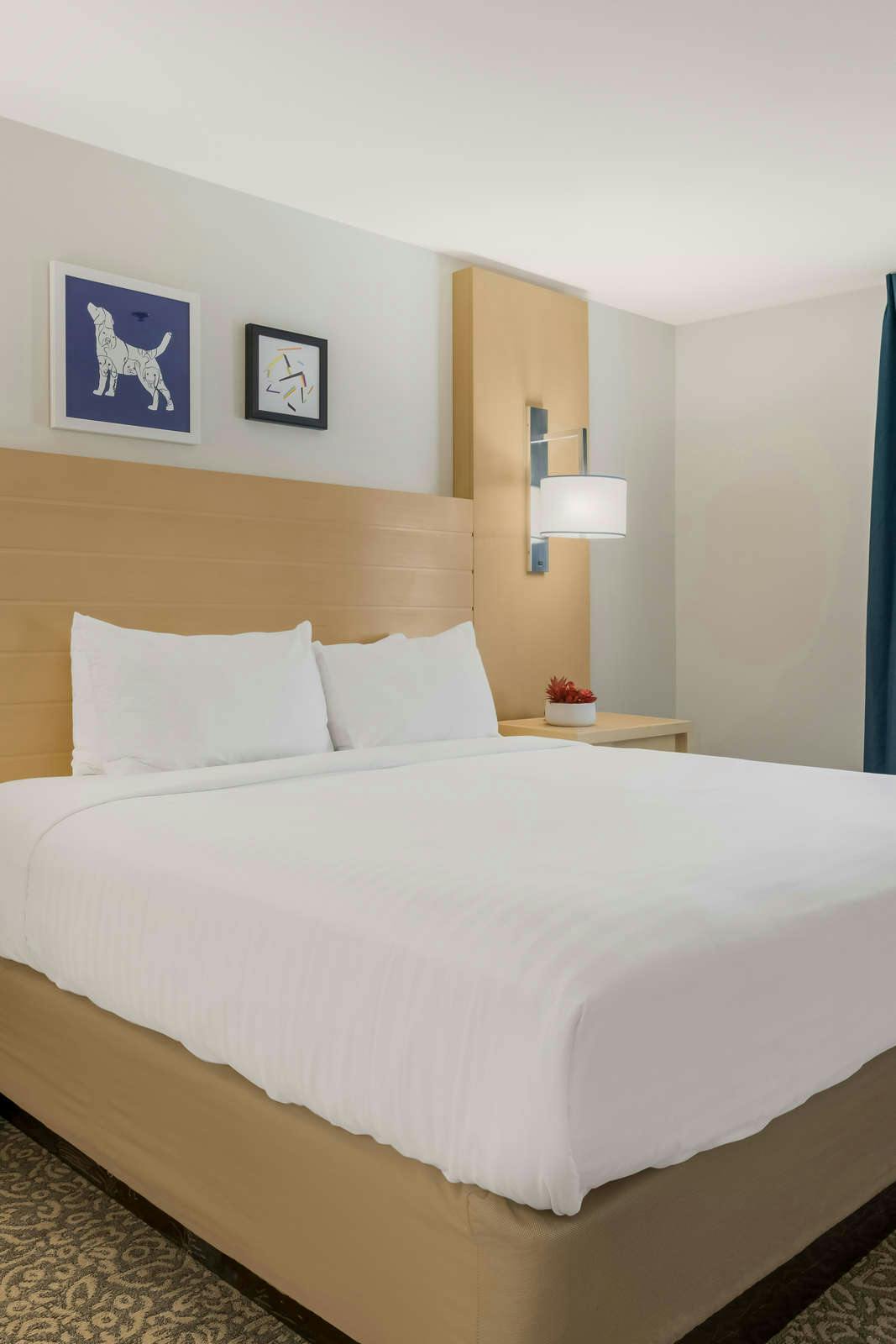 Hotel Sonesta ES Suites Charlotte Arrowood photo 1