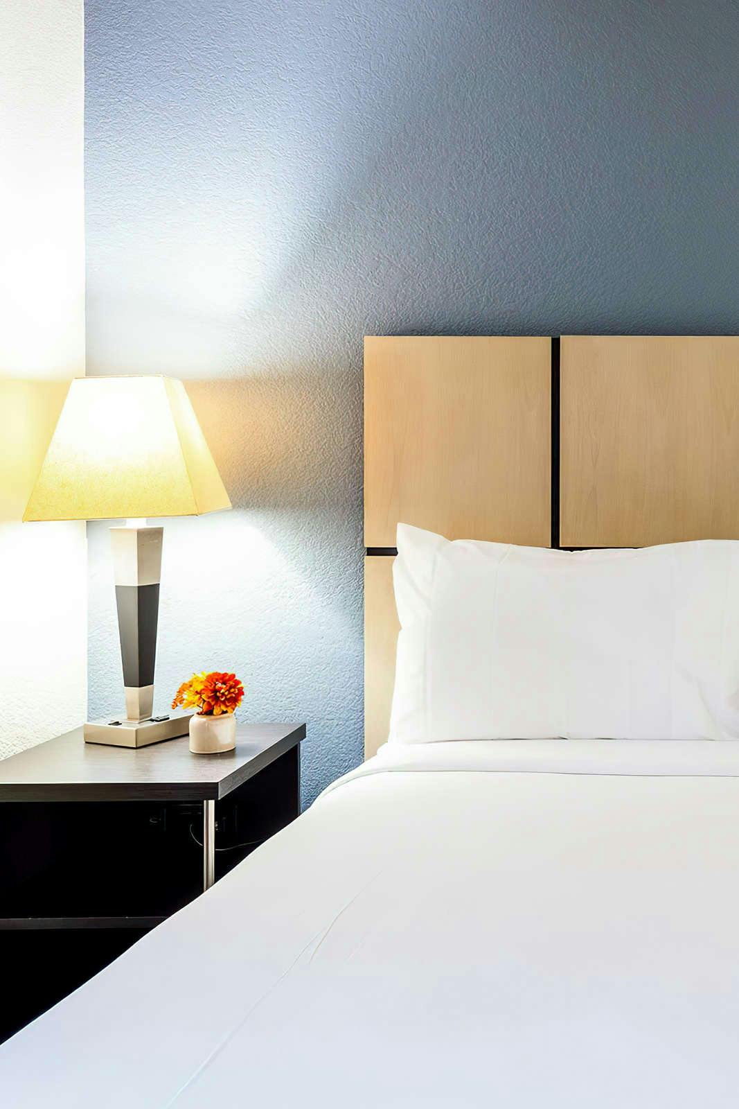 Hotel Sonesta Simply Suites Clearwater photo 3