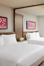Hotel Loews Coral Gables photo 3