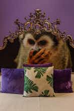 Hotel Lisbon Art Stay photo 4