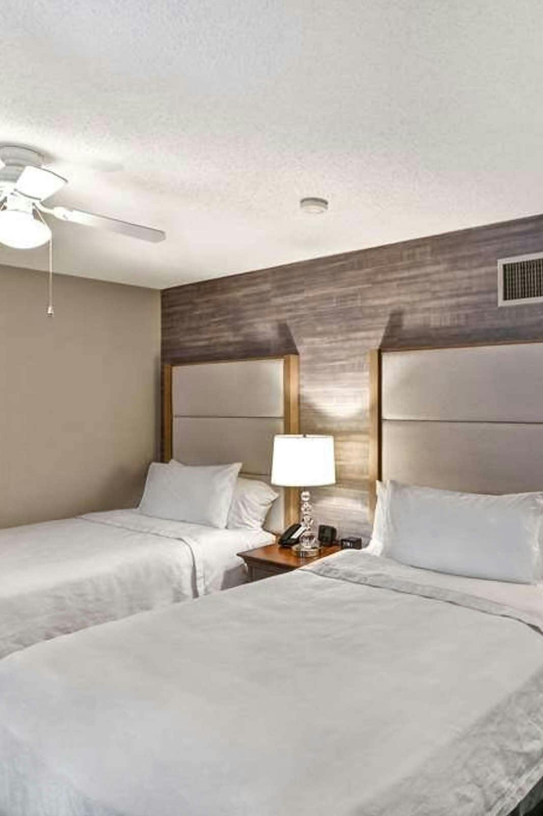 Hotel Homewood Suites by Hilton Windsor Locks Hartford photo 2