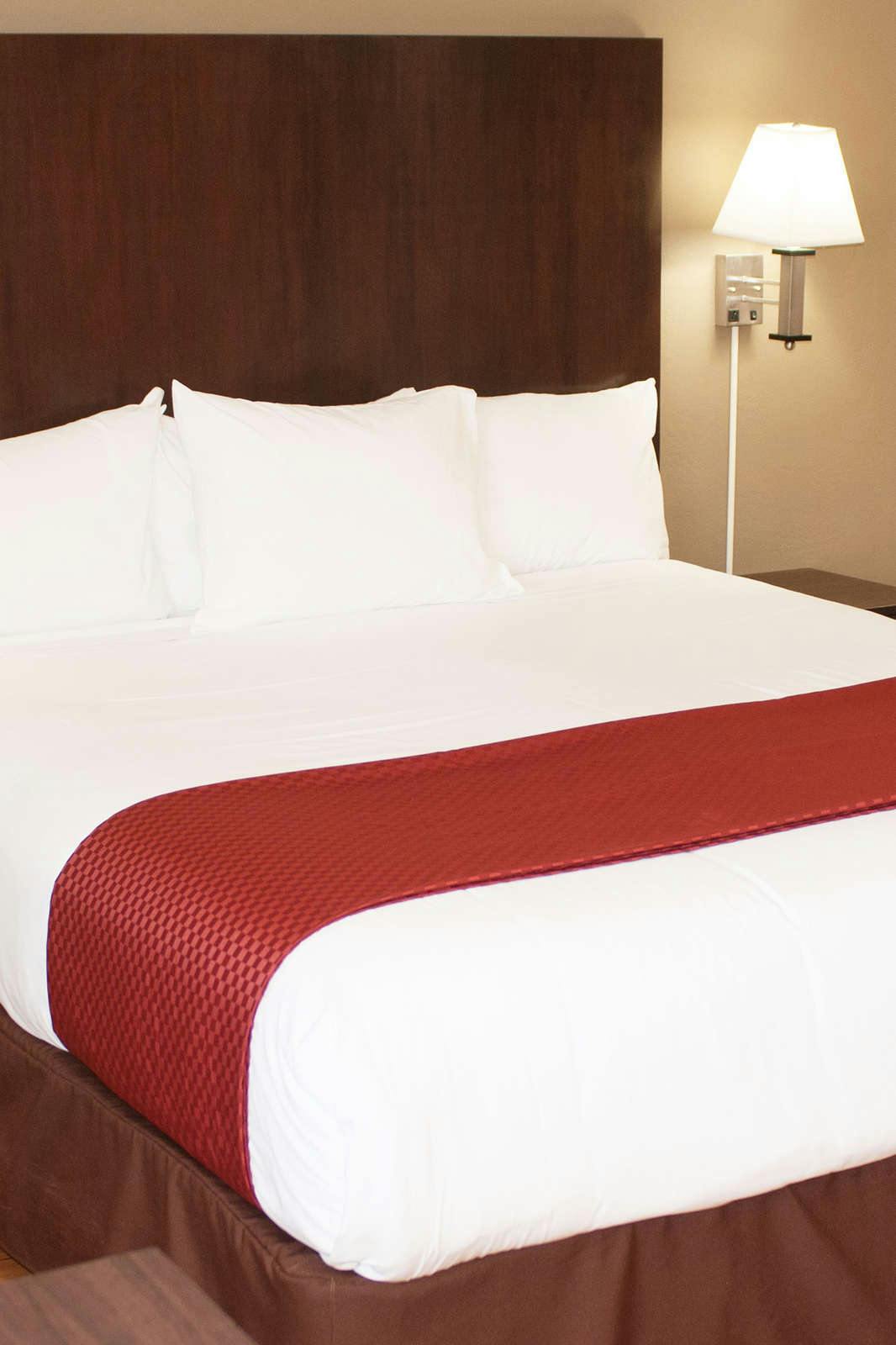 Hotel Cambria Palms Motel photo 1