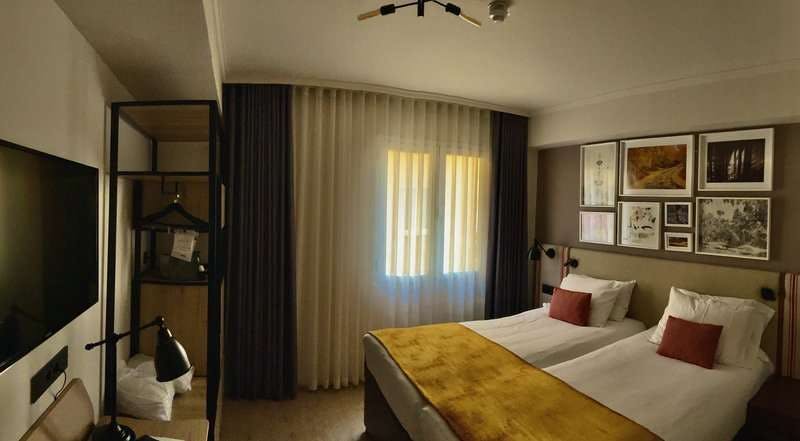 Hotel Hotel Indigo Madrid Princesa photo 4