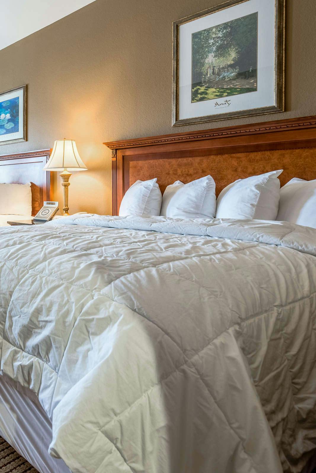 Hotel The Wildwood Hotel photo 3