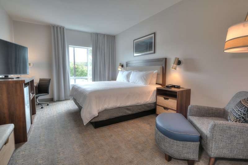 Hotel Holiday Inn & Suites Pigeon Forge Convention Center, an IHG Hotel photo 1