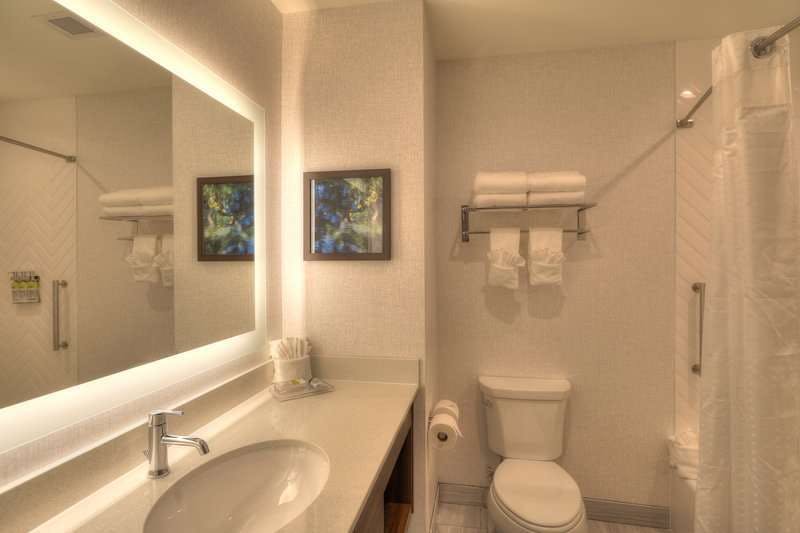 Hotel Holiday Inn & Suites Pigeon Forge Convention Center, an IHG Hotel photo 5