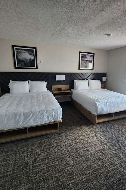 Hotel Eva Hotel Buffalo Airport, Bw Signature Collection photo 3