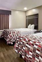 Hotel Red Roof Inn & Suites Jackson - Richland photo 4