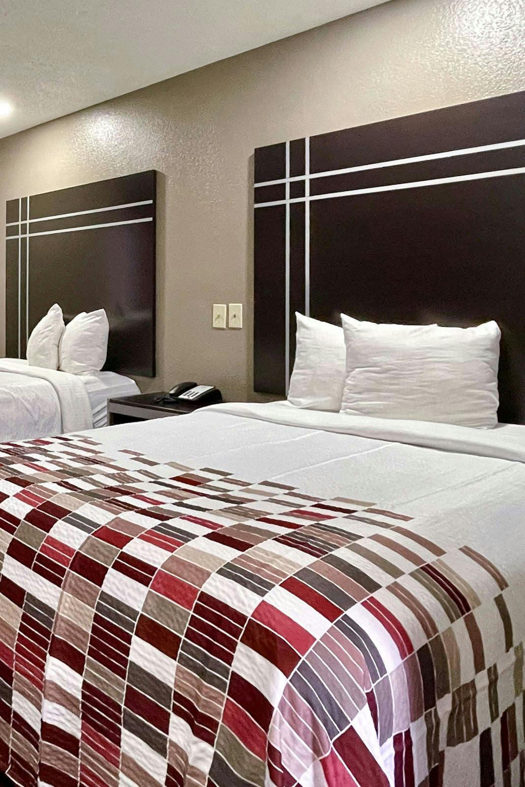 Hotel Red Roof Inn & Suites Jackson - Richland photo 5